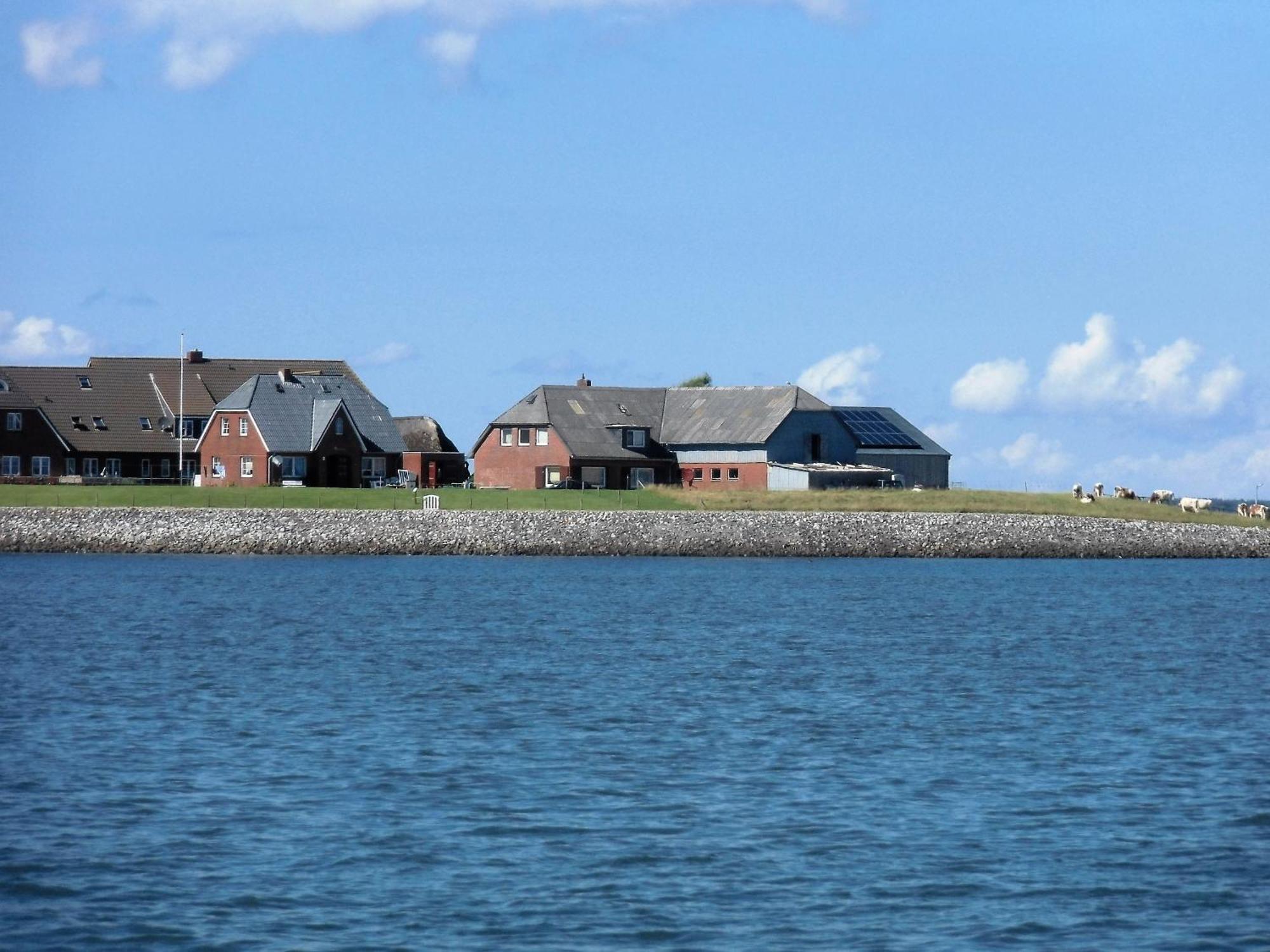 Haus Halligblick, Ferienwohnungen Am Wattenmeer, Whg Hamburger Hallig Dagebüll 外观 照片